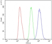 Flow cytometry testing of human PC-3 cells with CLK2 antibody at 1ug/million cells (blocked with goat sera); Red=cells alone, Green=isotype control, Blue= CLK2 antibody.