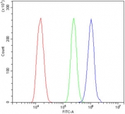 Flow cytometry testing of mouse ANA-1 cells with Il-3rb antibody at 1ug/million cells (blocked with goat sera); Red=cells alone, Green=isotype control, Blue= Il-3rb antibody.