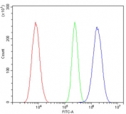 Flow cytometry testing of rat NRK cells with Il-3rb antibody at 1ug/million cells (blocked with goat sera); Red=cells alone, Green=isotype control, Blue= Il-3rb antibody.