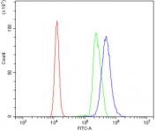 Flow cytometry testing of human K562 cells with CHOP antibody at 1ug/million cells (blocked with goat sera); Red=cells alone, Green=isotype control, Blue= DDIT3 antibody.