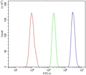 Flow cytometry testing of fixed and permeabilized human HL60 cells with RNA Helicase A antibody at 1ug/million cells (blocked with goat sera); Red=cells alone, Green=isotype control, Blue= RNA Helicase A antibody.