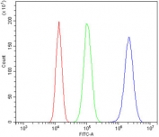 Flow cytometry testing of human 293T cells with DIO1 antibody at 1ug/million cells (blocked with goat sera); Red=cells alone, Green=isotype control, Blue= DIO1 antibody.