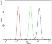 Flow cytometry testing of human A431 cells with DNAJA2 antibody at 1ug/million cells (blocked with goat sera); Red=cells alone, Green=isotype control, Blue= DNAJA2 antibody.