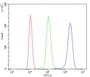 Flow cytometry testing of mouse ANA-1 cells with DNAJA2 antibody at 1ug/million cells (blocked with goat sera); Red=cells alone, Green=isotype control, Blue= DNAJA2 antibody.