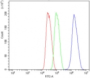 Flow cytometry testing of human HepG2 cells with EAPP antibody at 1ug/million cells (blocked with goat sera); Red=cells alone, Green=isotype control, Blue= EAPP antibody.