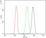 Flow cytometry testing of human A431 cells with EPS15 antibody at 1ug/million cells (blocked with goat sera); Red=cells alone, Green=isotype control, Blue= EPS15 antibody.