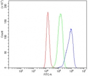 Flow cytometry testing of human Jurkat cells with FGF10 antibody at 1ug/million cells (blocked with goat sera); Red=cells alone, Green=isotype control, Blue= FGF10 antibody.