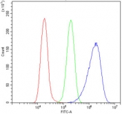 Flow cytometry testing of human A549 cells with TTC11 antibody at 1ug/million cells (blocked with goat sera); Red=cells alone, Green=isotype control, Blue= TTC11 antibody.