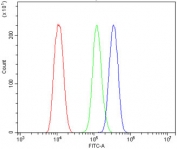 Flow cytometry testing of human ThP-1 cells with GFI1 antibody at 1ug/million cells (blocked with goat sera); Red=cells alone, Green=isotype control, Blue= GFI1 antibody.
