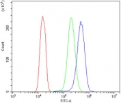 Flow cytometry testing of human A431 cells with LDL Receptor antibody at 1ug/million cells (blocked with goat sera); Red=cells alone, Green=isotype control, Blue= LDL Receptor antibody.