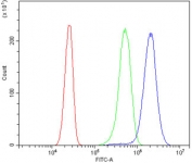 Flow cytometry testing of mouse Neuro-2a cells with Cd146 antibody at 1ug/million cells (blocked with goat sera); Red=cells alone, Green=isotype control, Blue= Cd146 antibody.