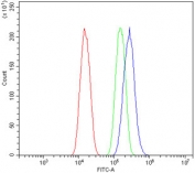 Flow cytometry testing of human A549 cells with Musashi 1 antibody at 1ug/million cells (blocked with goat sera); Red=cells alone, Green=isotype control, Blue= Musashi 1 antibody.