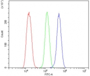 Flow cytometry testing of rat NRK cells with Mt-nd2 antibody at 1ug/million cells (blocked with goat sera); Red=cells alone, Green=isotype control, Blue= Mt-nd2 antibody.