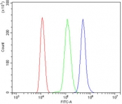 Flow cytometry testing of mouse ANA-1 cells with Mt-nd2 antibody at 1ug/million cells (blocked with goat sera); Red=cells alone, Green=isotype control, Blue= Mt-nd2 antibody.