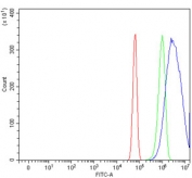 Flow cytometry testing of rat RH35 cells with Mtnd2 antibody at 1ug/million cells (blocked with goat sera); Red=cells alone, Green=isotype control, Blue= Mtnd2 antibody.