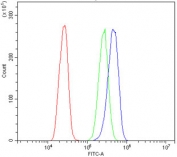 Flow cytometry testing of human A431 cells with Nectin 3 antibody at 1ug/million cells (blocked with goat sera); Red=cells alone, Green=isotype control, Blue= Nectin 3 antibody.