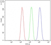 Flow cytometry testing of human A549 cells with NOVA2 antibody at 1ug/million cells (blocked with goat sera); Red=cells alone, Green=isotype control, Blue= NOVA2 antibody.