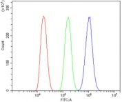 Flow cytometry testing of mouse HEPA1-6 cells with NOVA2 antibody at 1ug/million cells (blocked with goat sera); Red=cells alone, Green=isotype control, Blue= NOVA2 antibody.