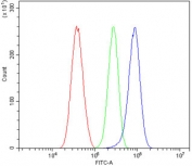 Flow cytometry testing of human A549 cells with PHEX antibody at 1ug/million cells (blocked with goat sera); Red=cells alone, Green=isotype control, Blue= PHEX antibody.