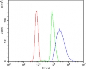 Flow cytometry testing of human U937 cells with PIAS2 antibody at 1ug/million cells (blocked with goat sera); Red=cells alone, Green=isotype control, Blue= PIAS2 antibody.