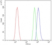 Flow cytometry testing of human A431 cells with PTF1A antibody at 1ug/million cells (blocked with goat sera); Red=cells alone, Green=isotype control, Blue= PTF1A antibody.