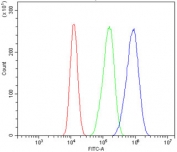 Flow cytometry testing of human Caco-2 cells with RBPMS antibody at 1ug/million cells (blocked with goat sera); Red=cells alone, Green=isotype control, Blue= RBPMS antibody.