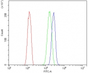 Flow cytometry testing of human HeLa cells with REC8 antibody at 1ug/million cells (blocked with goat sera); Red=cells alone, Green=isotype control, Blue= REC8 antibody.