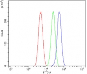 Flow cytometry testing of human U-87 MG cells with SPRY2 antibody at 1ug/million cells (blocked with goat sera); Red=cells alone, Green=isotype control, Blue= SPRY2 antibody.