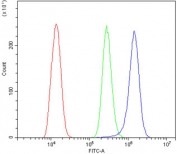 Flow cytometry testing of human ThP-1 cells with TXNIP antibody at 1ug/million cells (blocked with goat sera); Red=cells alone, Green=isotype control, Blue= TXNIP antibody.