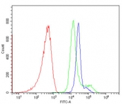 Flow cytometry testing of human PBM cells with CD46 antibody at 1ug/million cells (blocked with goat sera); Red=cells alone, Green=isotype control, Blue= CD46 antibody.