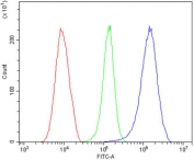 Flow cytometry testing of human HeLa cells with HMG4 antibody at 1ug/million cells (blocked with goat sera); Red=cells alone, Green=isotype control, Blue= HMG4 antibody.