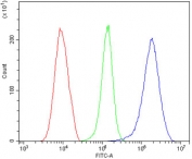 Flow cytometry testing of human HeLa cells with HMGB3 antibody at 1ug/million cells (blocked with goat sera); Red=cells alone, Green=isotype control, Blue= HMGB3 antibody.