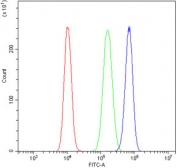 Flow cytometry testing of human U-2 OS cells with PCTK1 antibody at 1ug/million cells (blocked with goat sera); Red=cells alone, Green=isotype control, Blue= PCTK1 antibody.