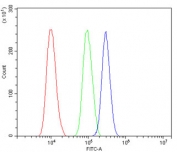 Flow cytometry testing of human SiHa cells with CHD2 antibody at 1ug/million cells (blocked with goat sera); Red=cells alone, Green=isotype control, Blue= CHD2 antibody.