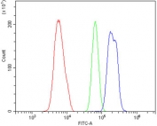 Flow cytometry testing of mouse ANA-1 cells with EPHB2 antibody at 1ug/million cells (blocked with goat sera); Red=cells alone, Green=isotype control, Blue= EPHB2 antibody.