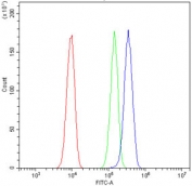 Flow cytometry testing of human A549 cells with EPHB2 antibody at 1ug/million cells (blocked with goat sera); Red=cells alone, Green=isotype control, Blue= EPHB2 antibody.