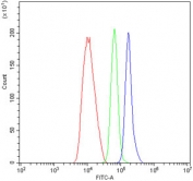 Flow cytometry testing of human HL-60 cells with F2R antibody at 1ug/million cells (blocked with goat sera); Red=cells alone, Green=isotype control, Blue= F2R antibody.