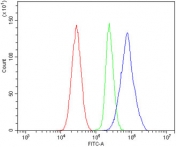 Flow cytometry testing of rat RH35 cells with Par1 antibody at 1ug/million cells (blocked with goat sera); Red=cells alone, Green=isotype control, Blue= Par1 antibody.