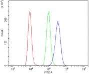 Flow cytometry testing of mouse RAW264.7 cells with Fas antibody at 1ug/million cells (blocked with goat sera); Red=cells alone, Green=isotype control, Blue= Fas antibody.