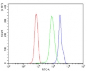 Flow cytometry testing of human U937 cells with DELE antibody at 1ug/million cells (blocked with goat sera); Red=cells alone, Green=isotype control, Blue= KIAA0141 antibody.