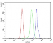 Flow cytometry testing of human U937 cells with DELE antibody at 1ug/million cells (blocked with goat sera); Red=cells alone, Green=isotype control, Blue= KIAA0141 antibody.