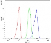 Flow cytometry testing of human A431 cells with MASP2 antibody at 1ug/million cells (blocked with goat sera); Red=cells alone, Green=isotype control, Blue= MASP2 antibody.