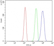 Flow cytometry testing of human A431 cells with MORC3 antibody at 1ug/million cells (blocked with goat sera); Red=cells alone, Green=isotype control, Blue= MORC3 antibody.
