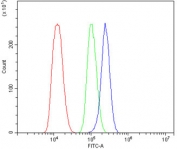 Flow cytometry testing of human ThP1 cells with OFD1 antibody at 1ug/million cells (blocked with goat sera); Red=cells alone, Green=isotype control, Blue= OFD1 antibody.