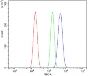 Flow cytometry testing of mouse Neuro-2a cells with Olr1 antibody at 1ug/million cells (blocked with goat sera); Red=cells alone, Green=isotype control, Blue= Olr1 antibody.