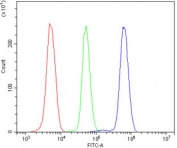 Flow cytometry testing of human U937 cells with SLC2A9 antibody at 1ug/million cells (blocked with goat sera); Red=cells alone, Green=isotype control, Blue= SLC2A9 antibody.
