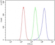 Flow cytometry testing of human A549 cells with Toll-like Receptor 1 antibody at 1ug/million cells (blocked with goat sera); Red=cells alone, Green=isotype control, Blue= Toll-like Receptor 1 antibody.