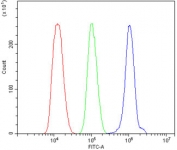 Flow cytometry testing of human ThP-1 cells with Toll-like Receptor 1 antibody at 1ug/million cells (blocked with goat sera); Red=cells alone, Green=isotype control, Blue= Toll-like Receptor 1 antibody.