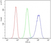 Flow cytometry testing of human 293T cells with TRIM6 antibody at 1ug/million cells (blocked with goat sera); Red=cells alone, Green=isotype control, Blue= TRIM6 antibody.