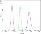 Flow cytometry testing of human U937 cells with TTK antibody at 1ug/million cells (blocked with goat sera); Red=cells alone, Green=isotype control, Blue= TTK antibody.